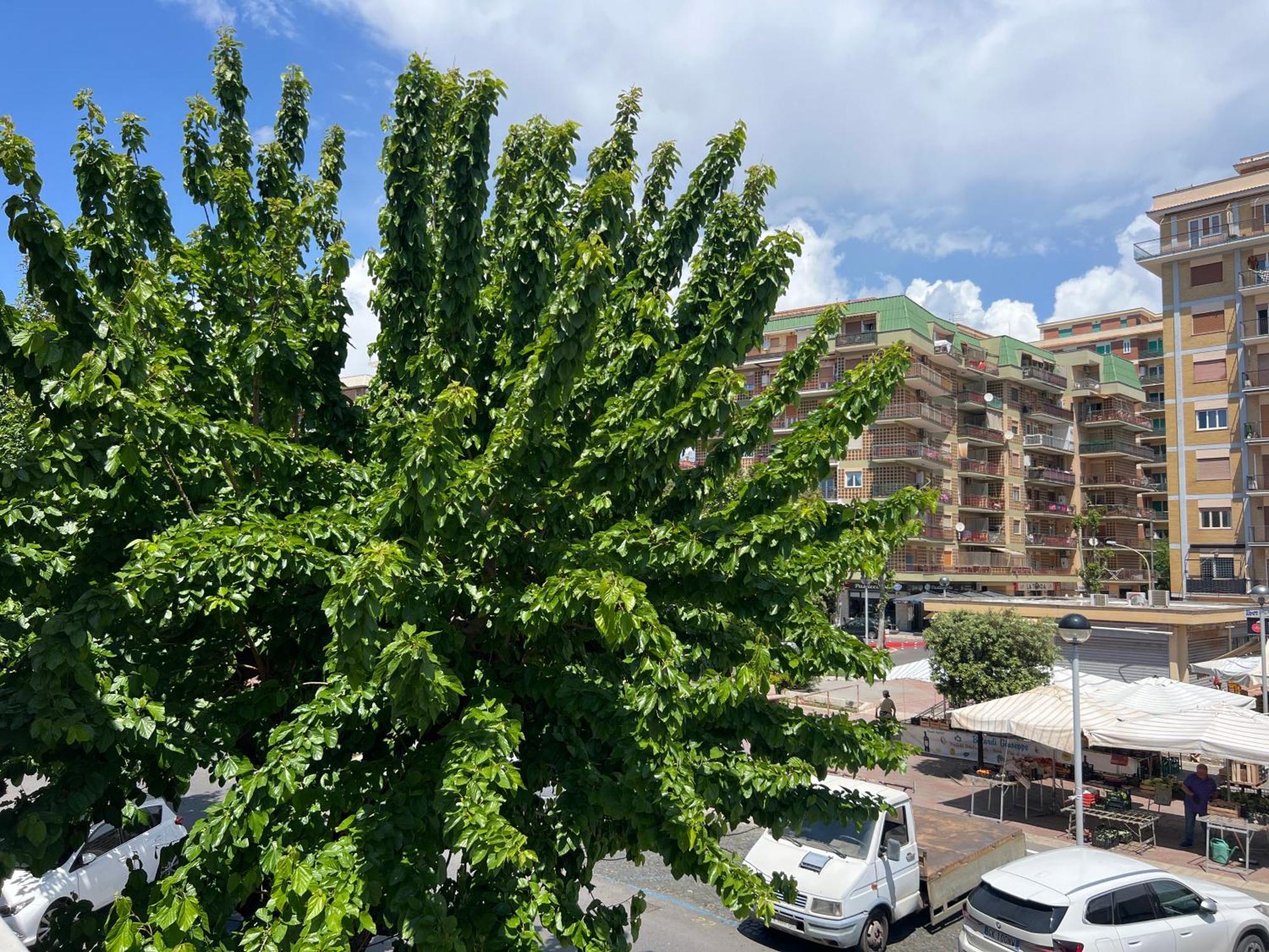 B&B Ladislaus Ladispoli Ngoại thất bức ảnh